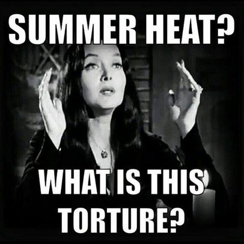 Happy wednesday addams