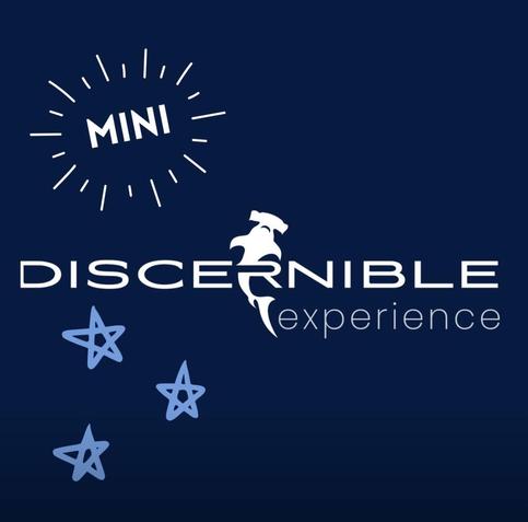 Discernible experience logo on a dark blue background featuring white text for ‘DISCERNIBLE’ with ‘experience’ in lighter text below, a white shark silhouette integrated into the design, the word ‘MINI’ with radiating lines in the upper left corner, and three light blue decorative stars scattered in the lower left portion.