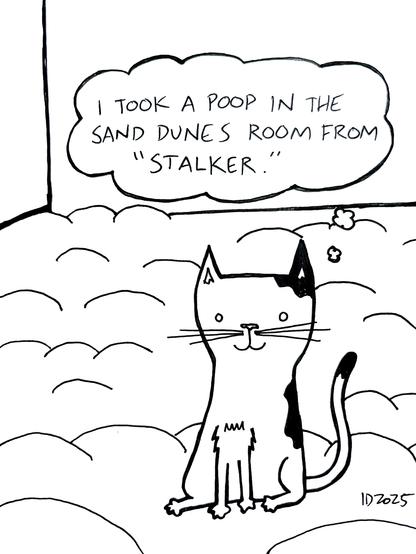a cat sits in a big room full of little piles of sand, like at the end of the movie Stalker, and thinks "i took a poop in the sand dunes room from 'stalker.'"