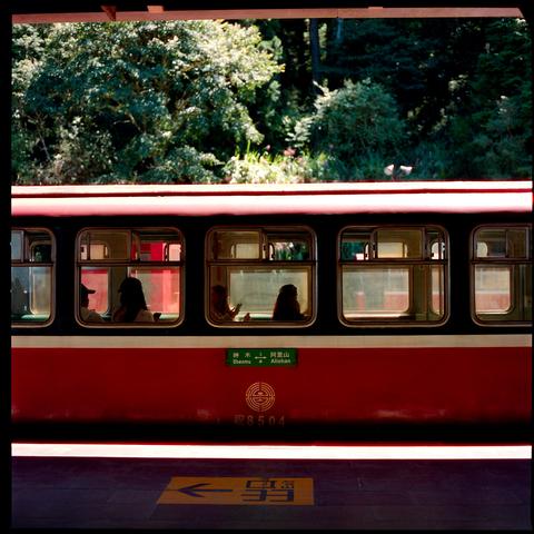 A red train car with passengers visible through windows, parked at a station platform. Green signage indicates destinations Shenmu and Alishan. Lush green trees and foliage are visible in the background. The platform has a yellow directional sign with Chinese characters. The train has a gold emblem and number 8504.