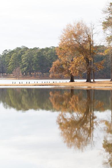 A vast white space divided horizontally by a line of green and orange trees mirrored in the water.