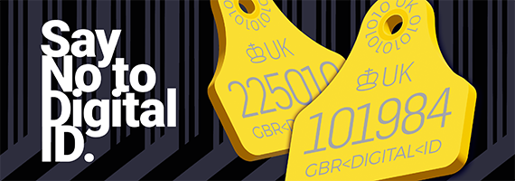 Image with text on the left side stating:

"Say no to Digital ID."

To the right are two, yellow, cow ear tags.  Around the hole where it's attached to the cow's ear are the letters "UK" and then mimicking binary code with a series of 1's and 0's.

On the main area of the tag is, from the top:

A royal crown with the letters "UK" to the right.
Next line has a random 6 digit number (as seen on cow ear tags).

Last line is:

"GBR < DIGITAL < ID"