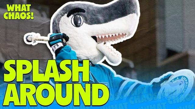 The San Jose Sharks are so silly