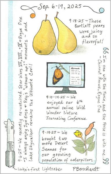 My Illustrated Journal page (watercolor and pen art) for Sep. 6-19, 2025: Star Wars Lightsaber & Quote; Wild Wonder Conference on computer monitor, showing Monarch Butterfly; Bartlett Pears; Desert Senna with flower and seedpod.