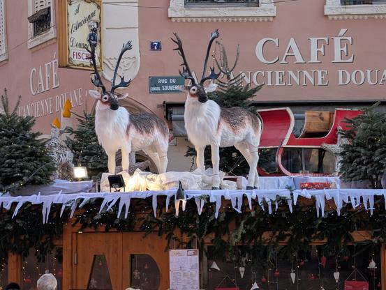 two slightly startled looking reindeer (not real) standing on the roof of a wooden single storey building, with Christmas decorations.