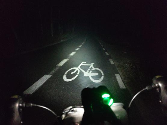 W świetle lampy zamontowanej na rowerowej kierownicy z barankiem widać szosę przez las z namalowaną drogą dla rowerów.