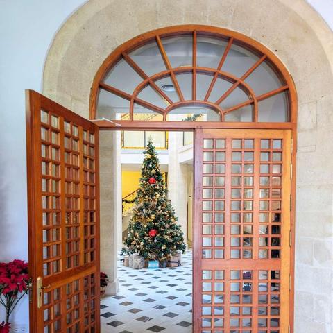 A pair of open, grid-paned wooden doors under an arched stone frame in Cádiz, leading into a lobby where a large, decorated Christmas tree doors is visible.