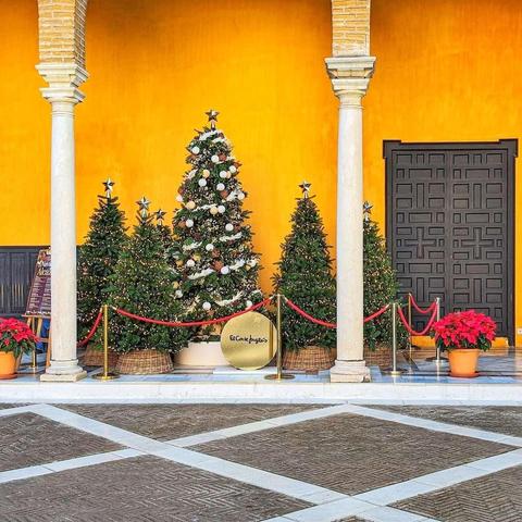 A dark, geometric Iberian Christmas door in Seville, framed by two white columns and several festive Christmas tree doors against a vibrant orange wall, showcasing Spanish Christmas decor.