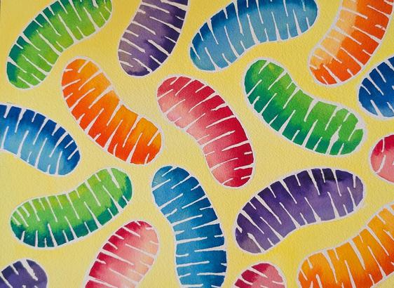 Brightly colored mitochondria in watercolor on a yellow background