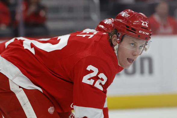 St. Louis Blues Recall Matt Luff