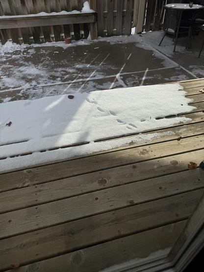 Fox prints in the snow on the patio.