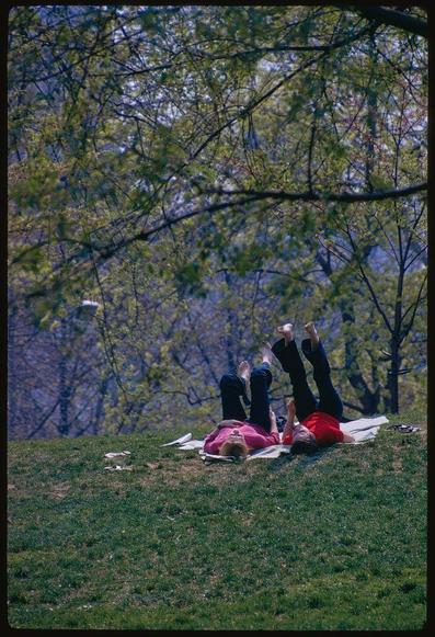 The image shows three individuals lying on a grassy hillside in what appears to be Central Park during the springtime. The backdrop is filled with trees exhibiting fresh green foliage, suggesting it's early spring or late summer.

Each person has their legs bent at approximately right angles and are wearing different colored shirts—red for two of them and pink for one—as well as dark pants. They seem relaxed, possibly enjoying a leisurely activity together on the ground which is covered with what looks like newspapers spread out beneath them to either protect from grass stains or provide some comfort.

There's an unusual object in mid-air above their heads—a frisbee-like disc—indicating they might have been playing catch before taking this rest. A pair of shoes can be spotted near one end, and there seems to be another item lying close by but it is not clearly identifiable from the image provided.

The overall mood conveyed here appears casual and joyful with an undertone of a spontaneous moment captured in time amidst nature's beauty.