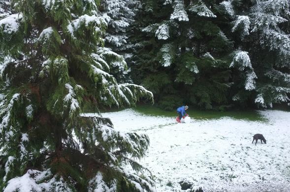 Ein Kind rollt eine Schneekugel und ein Hund schnuppert am Schnee. Digitale Farbaufnahme aus dem Jahr 2015.
