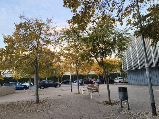 Acabo de fotografiar esto