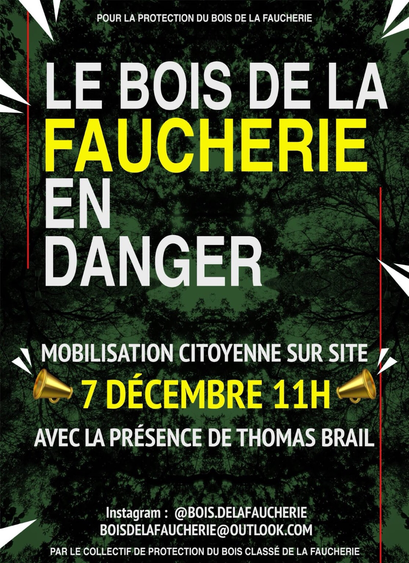 Affiche appelant à la mobilisation citoyenne contre l’abattage de 599 arbres au profit (discutable) de l’aéroport de La Rochelle