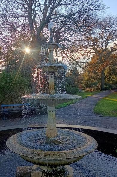 An old fountain adds interest to an early winter scene in the Botanical Gardens.
The bare branches of mature trees pattern the clear sky.