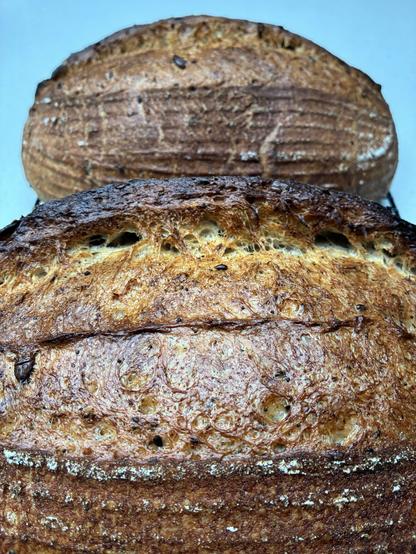 Seeded sourdough showing seeds, sage and seaweed.