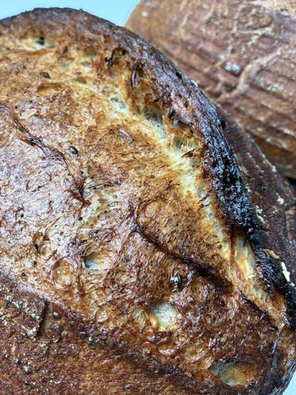 Seeded sourdough showing seeds, sage and seaweed.