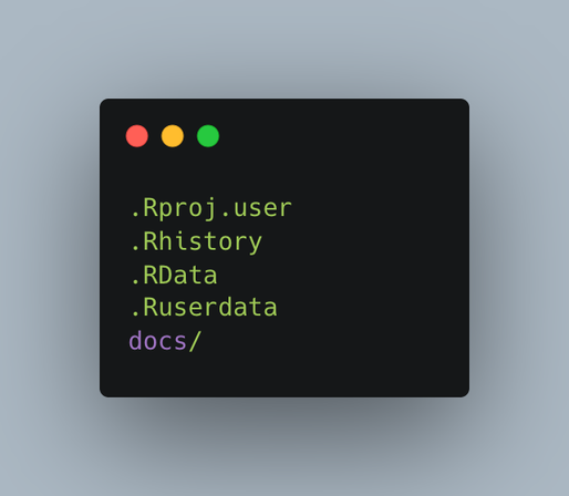 Essential .gitignore entries: 🔒
.Rproj.user
.Rhistory
.RData
.Ruserdata
docs/