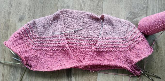 A knitting project in progress.
A sweater worked from the shoulders top down with sleeves already started. It has a v neck.
In the picture it had progressed to the point were the sleeves are divided from the body and the v neck had just been closed.
It starts work pale pink at the top, after about 10 cm length the color switches progressively to a darker pink with texture pattern over the part were the colors change, then about 10 cm of the darker pink.
The yarn had quite a bit of texture.