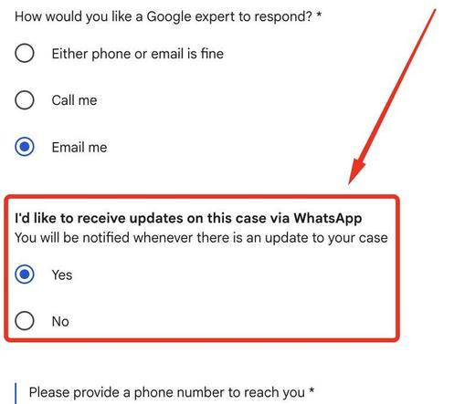 Google Ads support with WhatsApp notifications