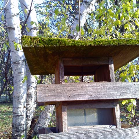 An empty bird feeder