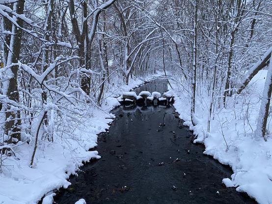 Picture of a creek, with a snow covered trees on both sides. It’s snowing. There are snow covered rocks crossing the water.
- - -
Photo d'un ruisseau, avec des arbres couverts de neige des deux côtés. Il neige. Il y a des rochers enneigés qui traversent l'eau.