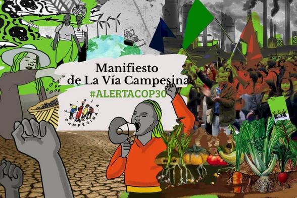 🌍🔥 #COP30 #AlertaCOP30
#LaViaCampesina Manifesto
Tierra y derechos para quienes enfrían el planeta
1. Causas estructurales de la crisis
2. Nuestras demandas
3. Nuestras soluciones
👉 ES/PT: https://viacampesina.org/es/cop-30-manifiesto-de-la-via-campesina-tierra-y-derechos-para-quienes-enfrian-el-planeta

#Agroecologia #SoberaniaAlimentaria #DerechosCampesinosYA