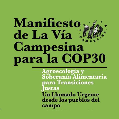 🌍🔥 #COP30 #AlertaCOP30
#LaViaCampesina Manifesto
Tierra y derechos para quienes enfrían el planeta
1. Causas estructurales de la crisis
2. Nuestras demandas
3. Nuestras soluciones
👉 ES/PT: https://viacampesina.org/es/cop-30-manifiesto-de-la-via-campesina-tierra-y-derechos-para-quienes-enfrian-el-planeta
#Agroecologia #SoberaniaAlimentaria #DerechosCampesinosYA