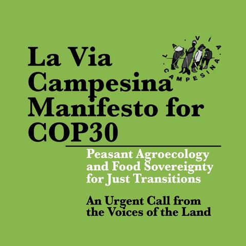 🌍🔥 #StopFalseSolutions
#LaViaCampesina #COP30Alert

La Via Campesina #COP30 Manifesto:

LAND AND RIGHTS FOR
THOSE WHO COOL THE PLANET
👉 https://viacampesina.org/en/2025/10/cop-30-la-via-campesinas-manifesto-land-and-rights-for-those-who-cool-the-planet

#PeasantAgroecology achieves #ClimateJustice & #SocialJustice

#PeasantAEachievesCJ
#PeasantsRightsNOW #UNDROP
#FoodSovereigntyNOW