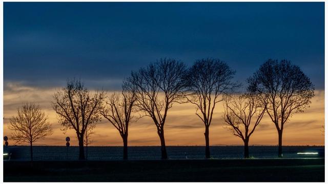 Silhouetted trees stand against a vibrant sunset sky, featuring deep blues and soft oranges. The horizon is faintly visible, creating a serene landscape.