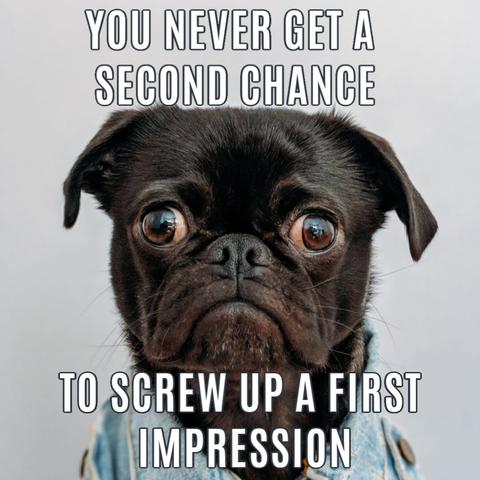 A close-up meme of a black pug wearing a denim shirt, looking directly at the camera with wide, concerned eyes. The text overlay reads: "YOU NEVER GET A SECOND CHANCE TO SCREW UP A FIRST IMPRESSION." The image conveys anxiety about performance and quality.