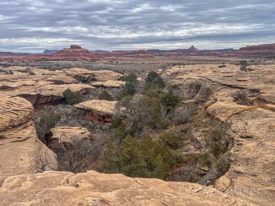A view from the upper area of the cove below, with Pinnacle Point in the distance as well as a closer Butte. On the left rock wall, deep colored streaks may be seen on the walls, that appears to be from mosses/algae staining the walls when water was present.