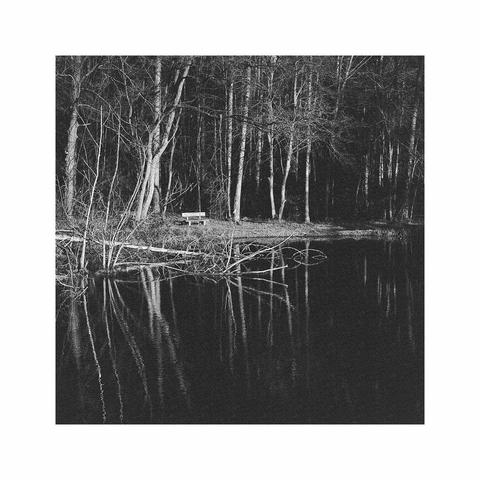 a black and white image of a little pond surrounded by trees. a little bench is located near the center of the image. a single tree has fallen over and now creates a strong horizontal line against all the other vertical lines in the image. all the trees are reflected and mirrored in the almost flat water