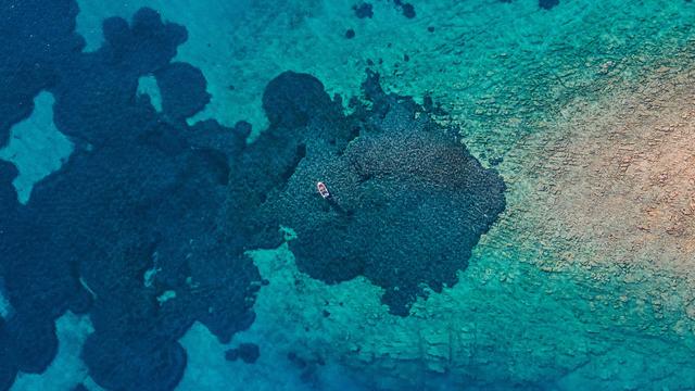 Flight or float - © Abstract Aerial Art / Digital Vision / Getty Images