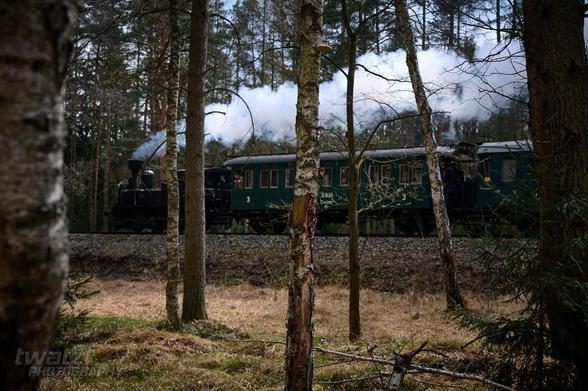 Ein Dampfzug fÀhrt durch den Wald. Die BÀume im Vordergrund, der Zug im Hintergrund.