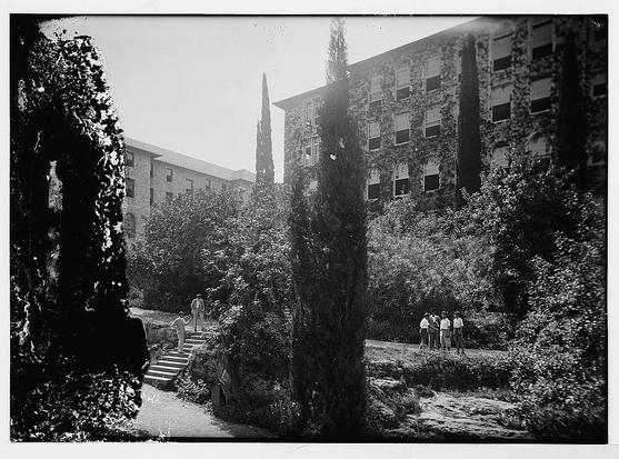 The image is a black and white photograph depicting an outdoor scene with several buildings in the background. These structures appear to be older, possibly institutional or academic facilities, characterized by their brick construction and multiple windows.

In front of these buildings stands tall cypress trees that create a dramatic visual effect against the sky, adding depth and texture to the image. The foliage is dense around the base of some trees, indicating they have been there for many years.

There are people in various locations within the frame: on steps leading up from below, walking alongside paths or trails surrounded by greenery, with one group near a building's entrance engaged in conversation while others walk leisurely through the garden area. The attire suggests an earlier time period, possibly mid-20th century based on style.

The overall atmosphere is serene and somewhat nostalgic, suggesting that this photo could have been taken at a university or similar educational institution during its early to mid-century years.
