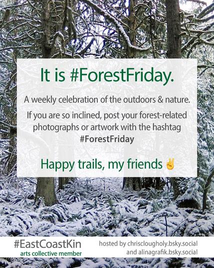 The banner for Forest Friday features a photo of pine trees and ferns blanketed in snow with the accompanying text: "It is #ForestFriday. A weekly celebration of the outdoors & nature. If you are so inclined post your forest-related photographs or artwork with the hashtag #ForestFriday. Happy trails, my friends."