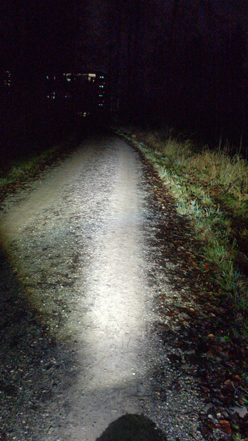 Blick bei Nacht einen Waldweg entlang hin zu beleuchteten Hochhäser hinter Bäumen. Ein Fahrradscheinwerfer erleuchtet den Weg vor sich und lässt den vorderen Reifen einen Schatten werfen. Mit etwas Wille lassen sich die Spikes im Reifen im Schatten erkennen.
