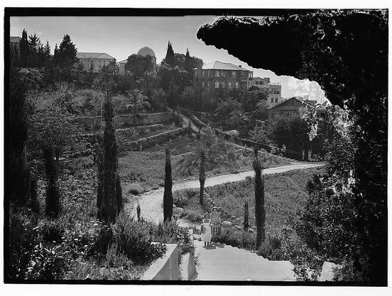 The image is a black and white photograph of an outdoor scene, taken from what appears to be within or behind foliage. The view shows a garden with neatly trimmed bushes and plants on one side, leading up to steps that wind through the landscape toward several buildings in the background. These structures include domed observatories and other architectural elements typical of academic institutions.

In the foreground, two women are walking down a pathway along these steps. They seem dressed for warm weather; both wear skirts or dresses suitable for an outdoor setting with some elevation involved as they climb up through this garden path leading to what seems like American University in Beirut between 1910 and 1946.

The scene is richly textured, capturing the intricate details of nature mixed with human-made architecture. The composition suggests a serene academic environment possibly used for educational or observational purposes during its time period.
