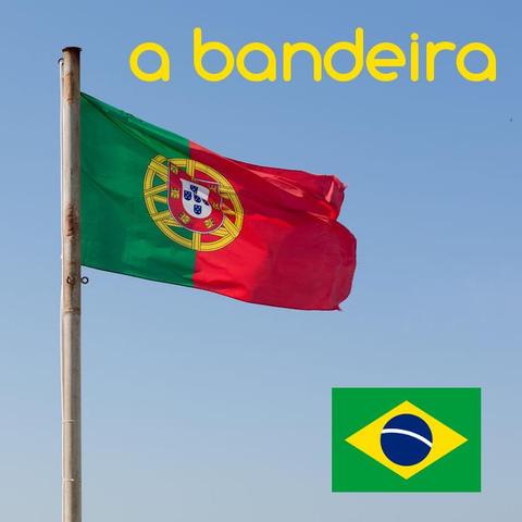 bandeira