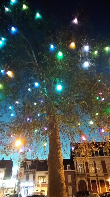 Vue du dessous de l'arbre de la liberté illuminé