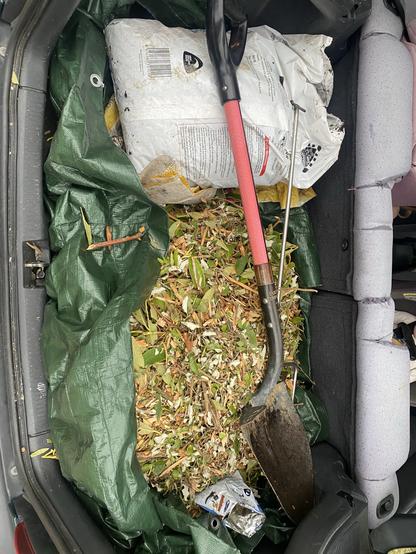 My car boot filled with wood chips, a bag of compost, and a shovel, on a green tarp.