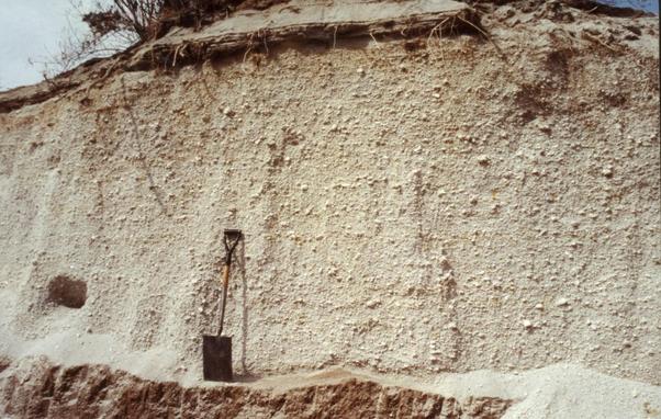 Dépôt de cendres de l'éruption du Huaynaputina (Pérou) en 1600. Les volcanologues mesurent l'épaisseur du dépôt et le diamètre des plus gros clastes (fragments) en de multiples affleurements similaires, afin de dresser les cartes d'isopaques et d'isoplèthes. Photo Jean-Claude Thouret.