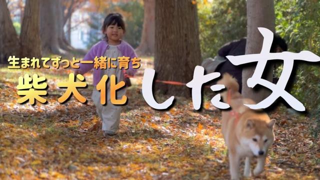 柴犬３歳を姉のように慕う２歳娘。ついに…「柴犬化」が始まる