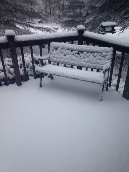 Color image of a bench on a residential home's deck, covered in new snowfall, a bird feeder beyond the deck also piled in snow, and pine trees in the yard beyond, their long limbs bowing from the snow's weight.