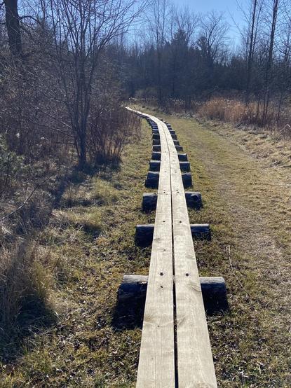 A path curving away to the left, through a bit of open field, with forest to the left and ahead. There's a wooden track of long boards on top of logs, for walking on when the surrounding area is flooded and muddy, although today it's dry.