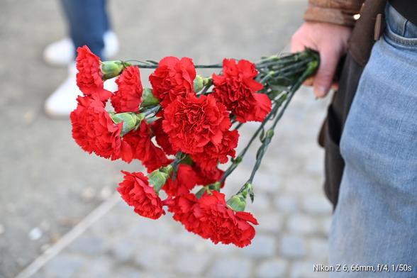 Ein Strauß roter Nelken zum 1. MAI