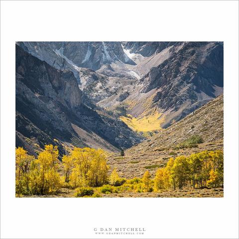 Eastern Sierra fall foliage