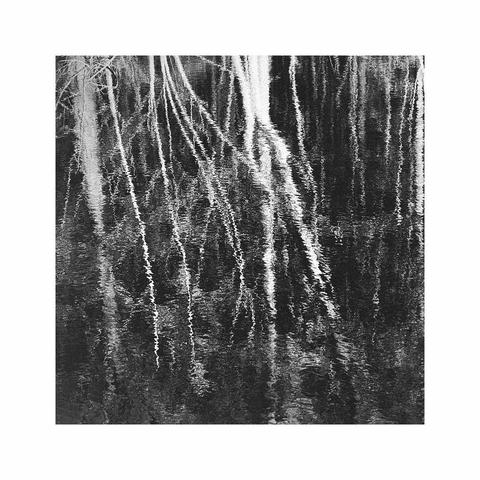 a black and white images of a bright tree trunk and some branches reflected in the rippled water of a small pond. the image has an almost abstract feel, the ripple effect of the water almost looks too perfect to be true